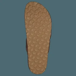 Axelda Adan Sand Snake