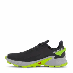 Salomon Alphacross 4 Gtx Ebony/pearl Blue/acid Lime