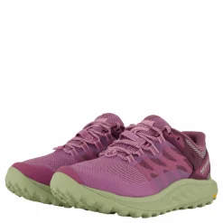 Merrell Antora 3 Gtx Fondant/willow