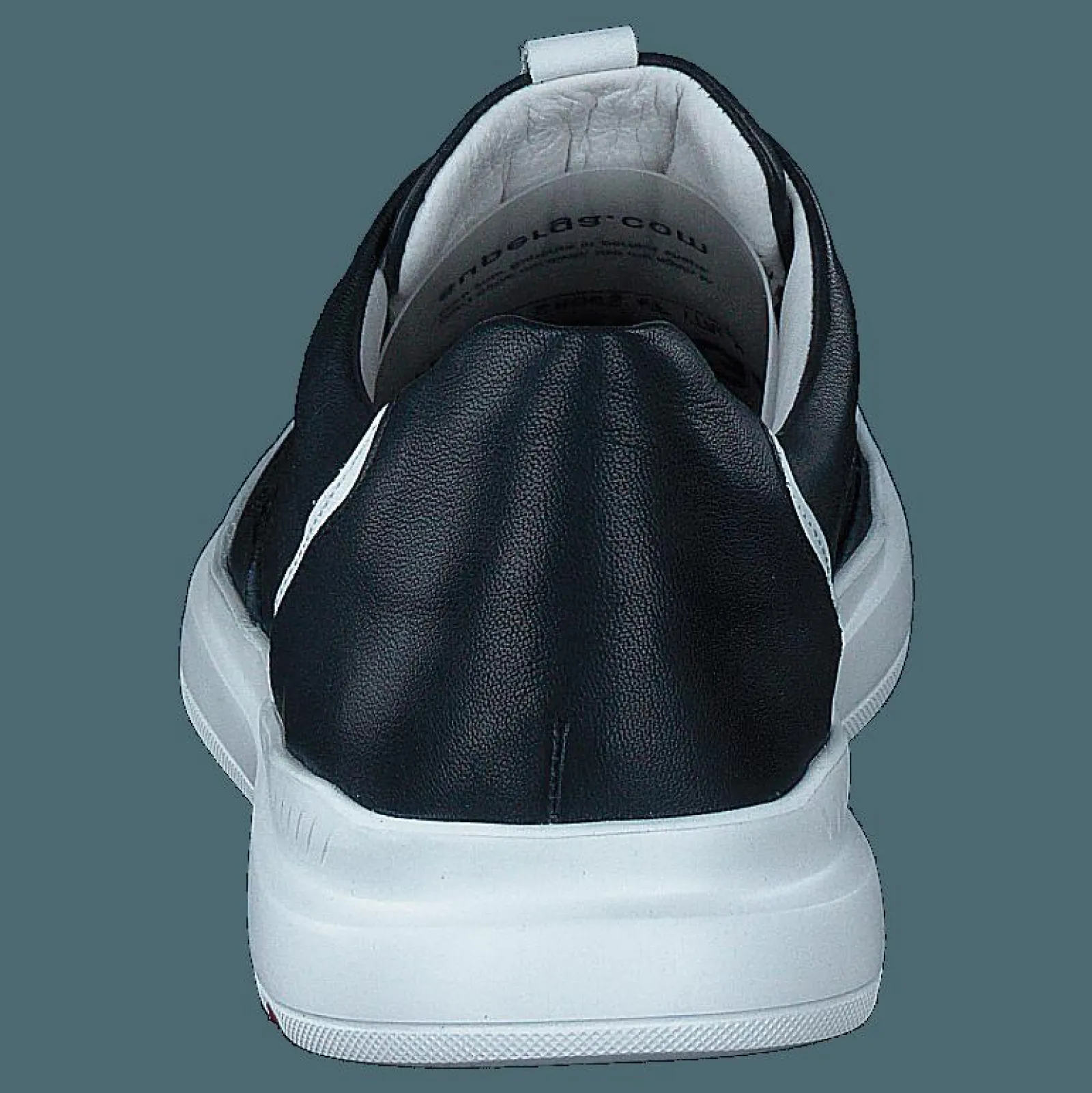 Lloyd Arrigo Midnight/white