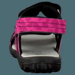 Barn Pax Beetle Lilac