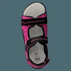 Barn Pax Beetle Lilac