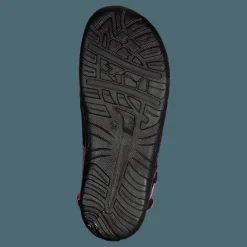 Barn Pax Beetle Lilac