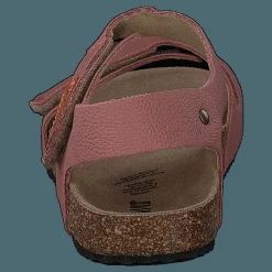 Barn Kavat Bomhus Ep Ash Rose