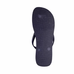 Havaianas Brasil Logo Navy Blue