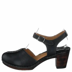 Wildflower Carlos Black 06