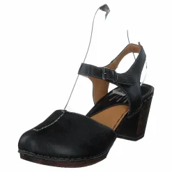 Wildflower Carlos Black 06