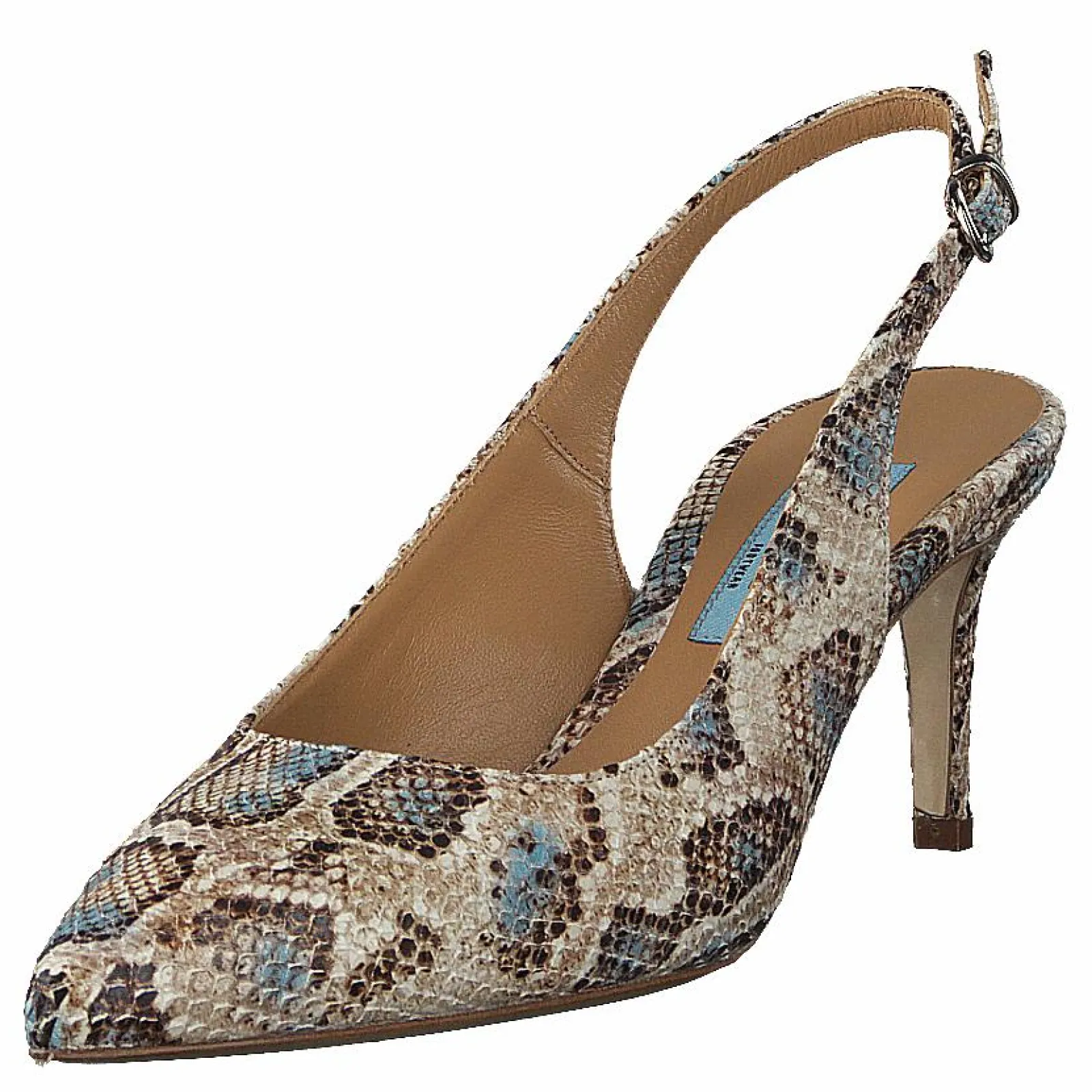 A Pair Chicago 1 Blue Python