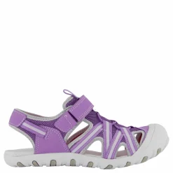 Barn Pax Cloudi Purple