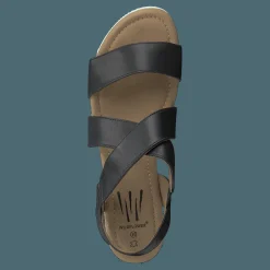 Wildflower Cuesta Black