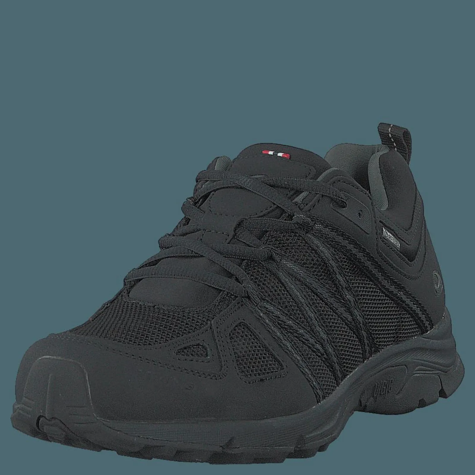 Viking Day Gtx W Black