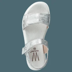 Barn Wildflower Desi Silver