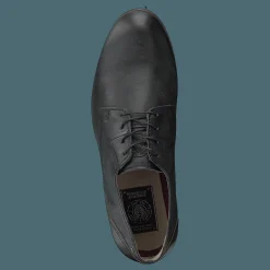 Sneaky Steve Dirty Low Black