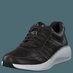 Green Comfort Dolphin Coffee