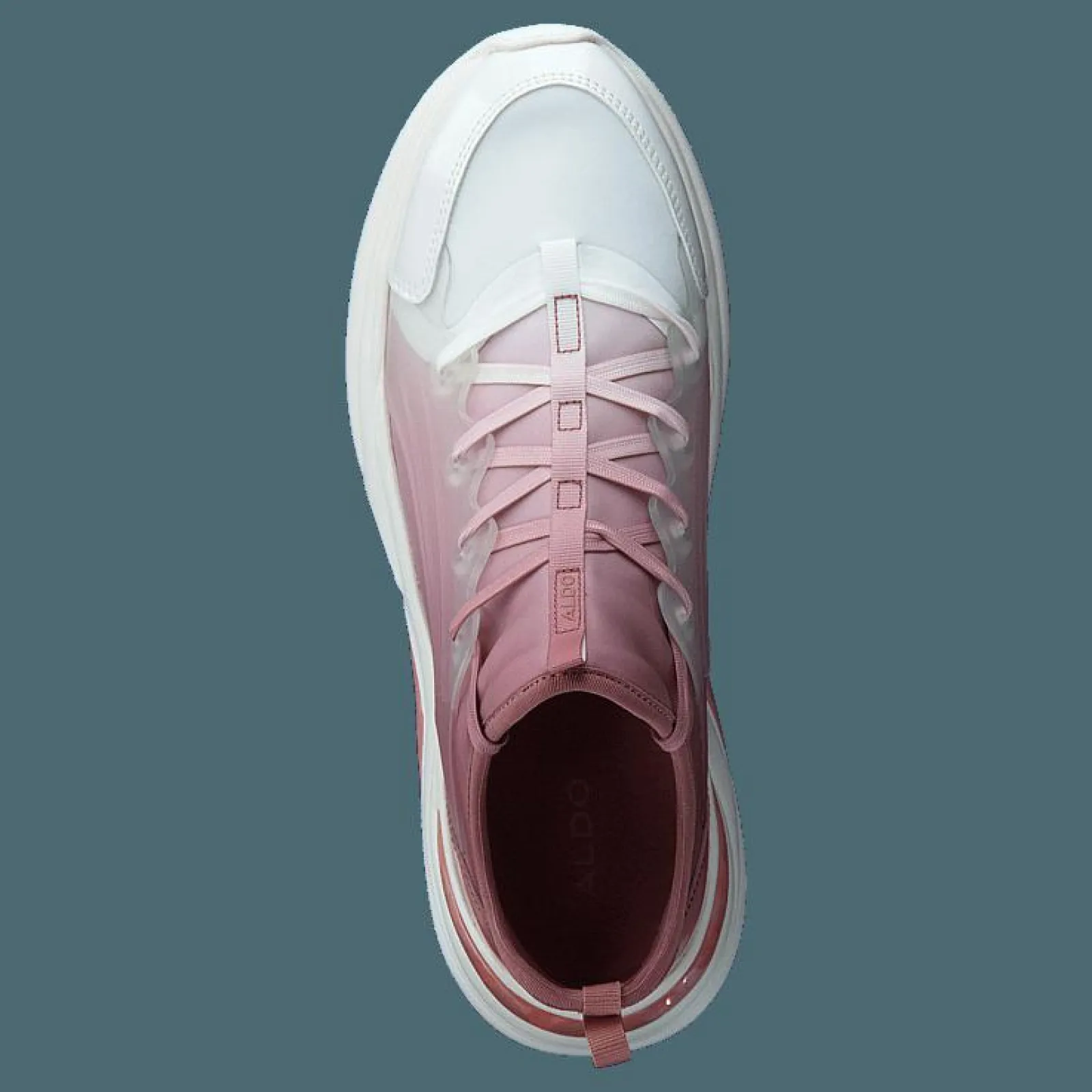 Aldo Dwardonii Other Pink