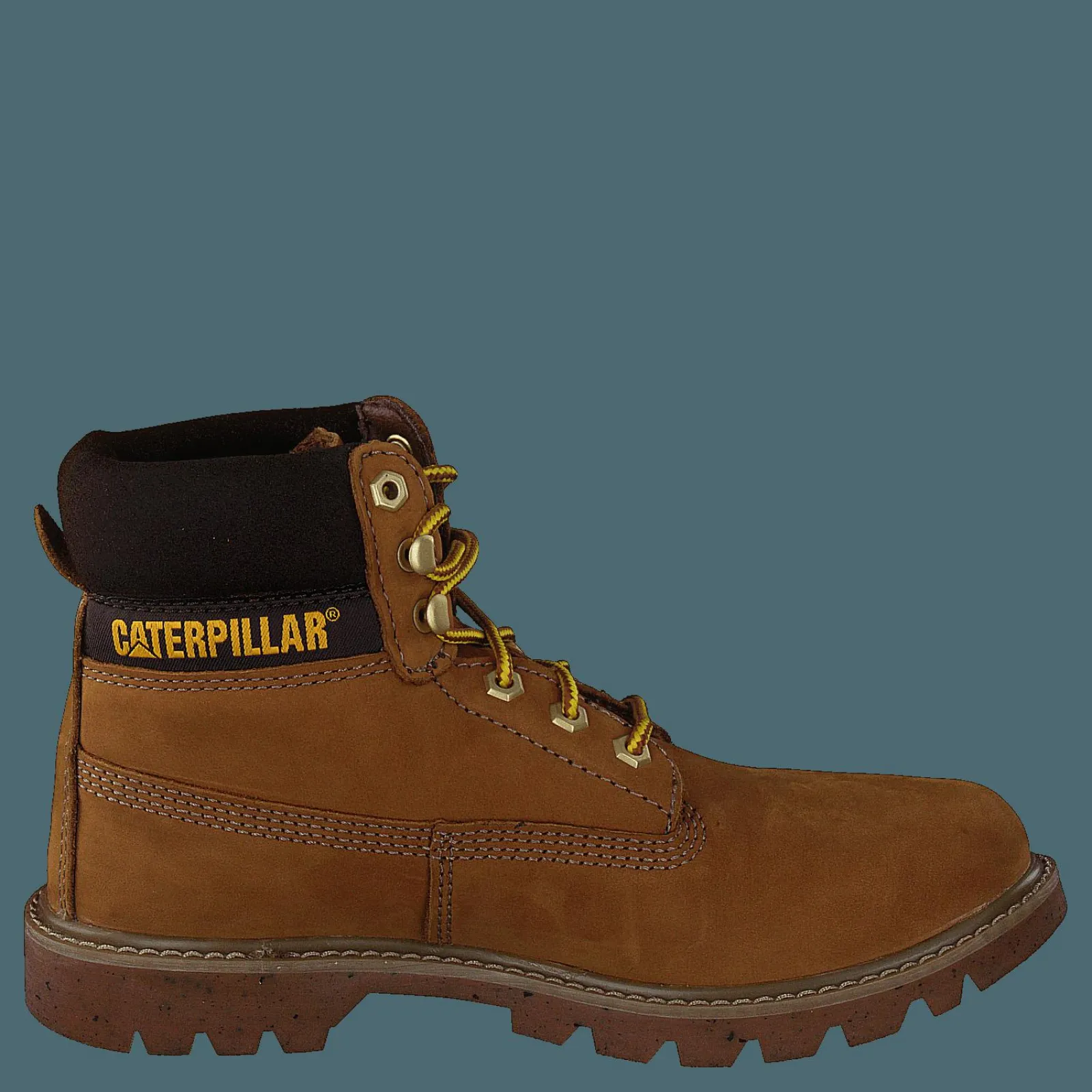 CAT E-colorado Taffy