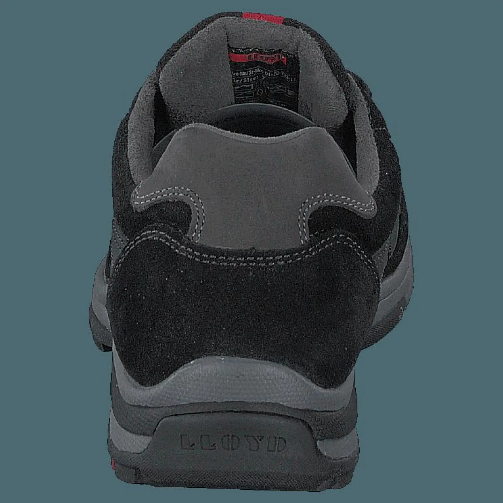 Lloyd Efrat Black/asphalt