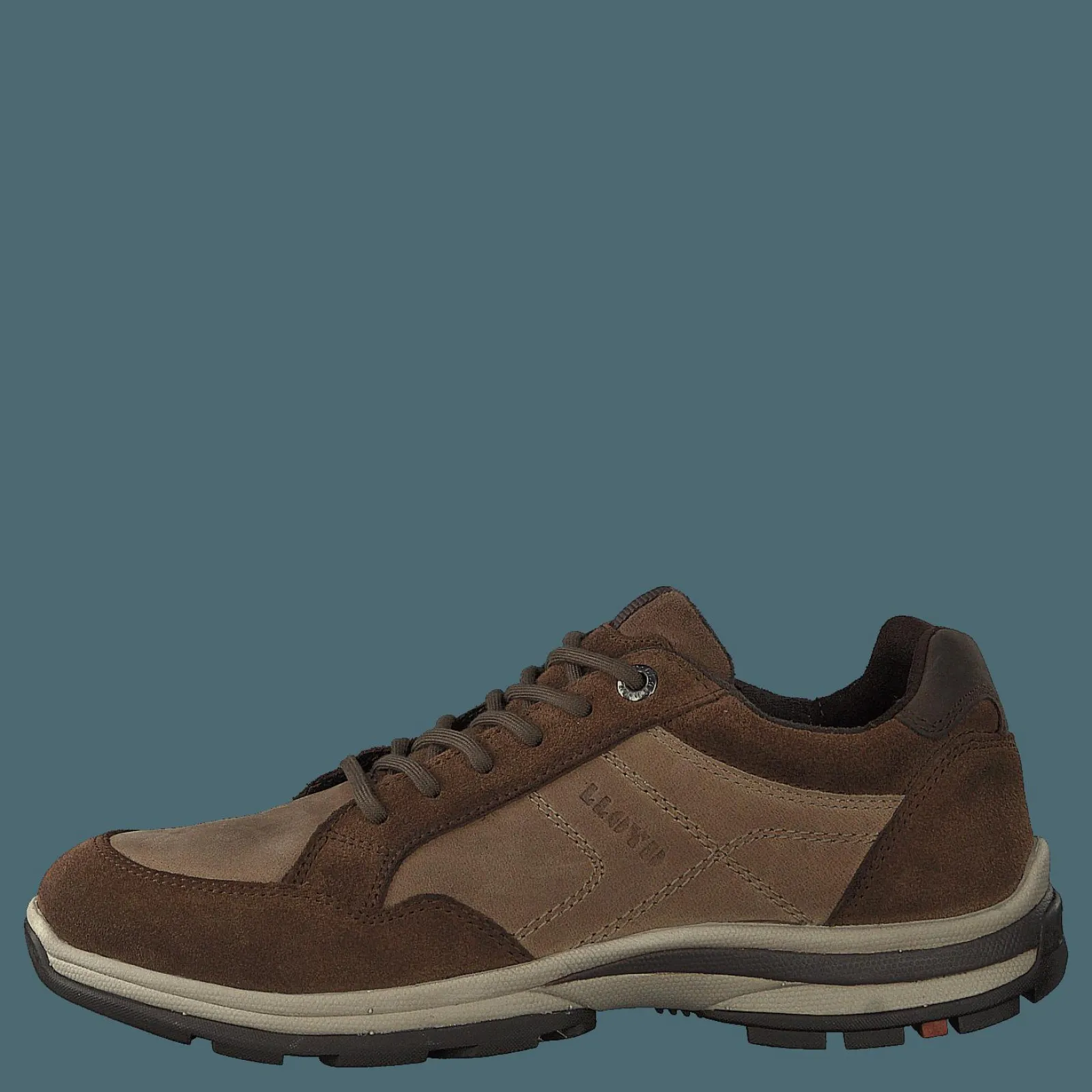 Lloyd Efrat Raven/coffee