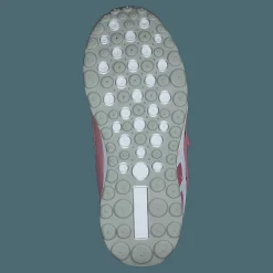 Barn Wildflower Elvira Pink