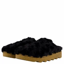 Rohde Foggia-d Schwarz