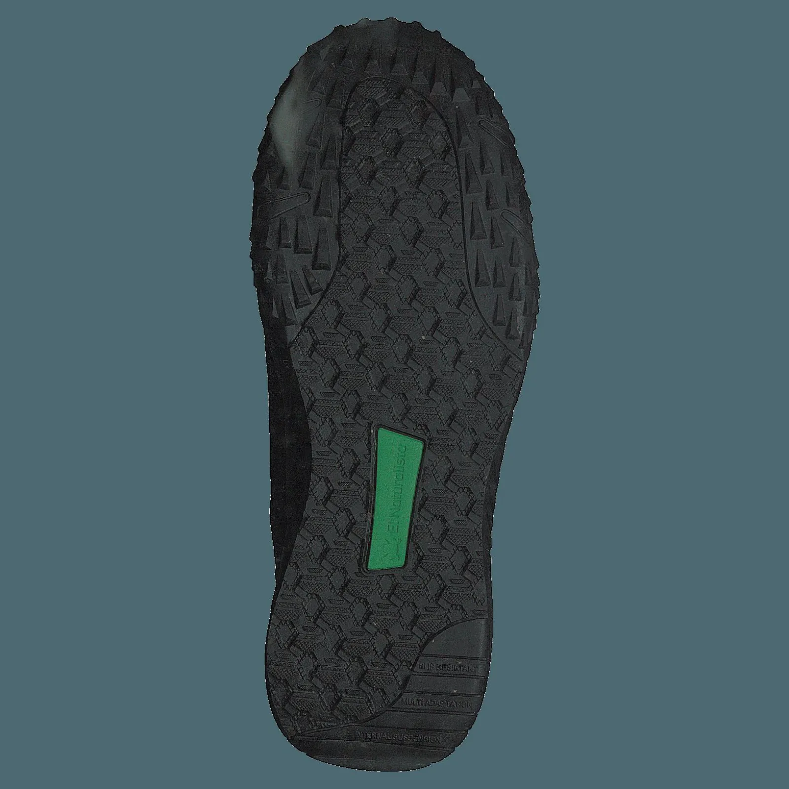 El Naturalista Gorbea Black