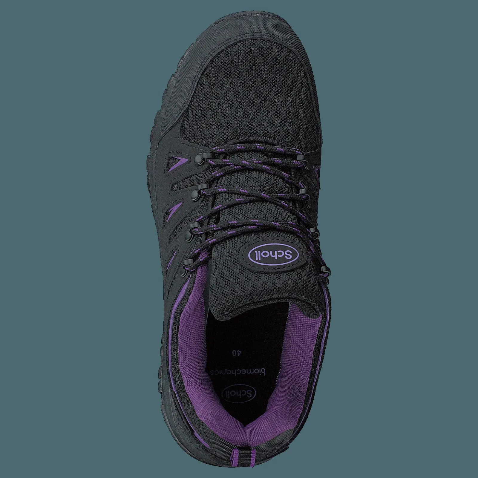 Scholl Havang 4.0 Black/purple