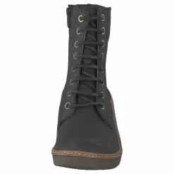 El Naturalista Haya Black