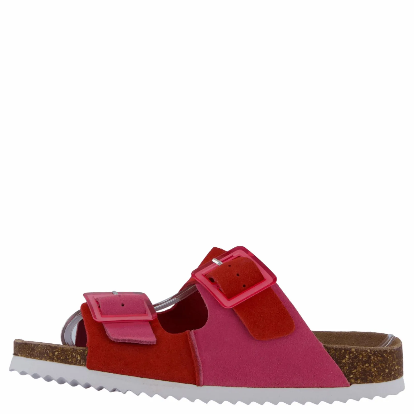 Colors of California Hc.bio403 Bub