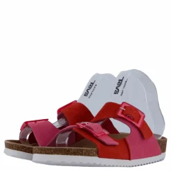 Colors of California Hc.bio403 Bub