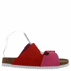 Colors of California Hc.bio403 Bub