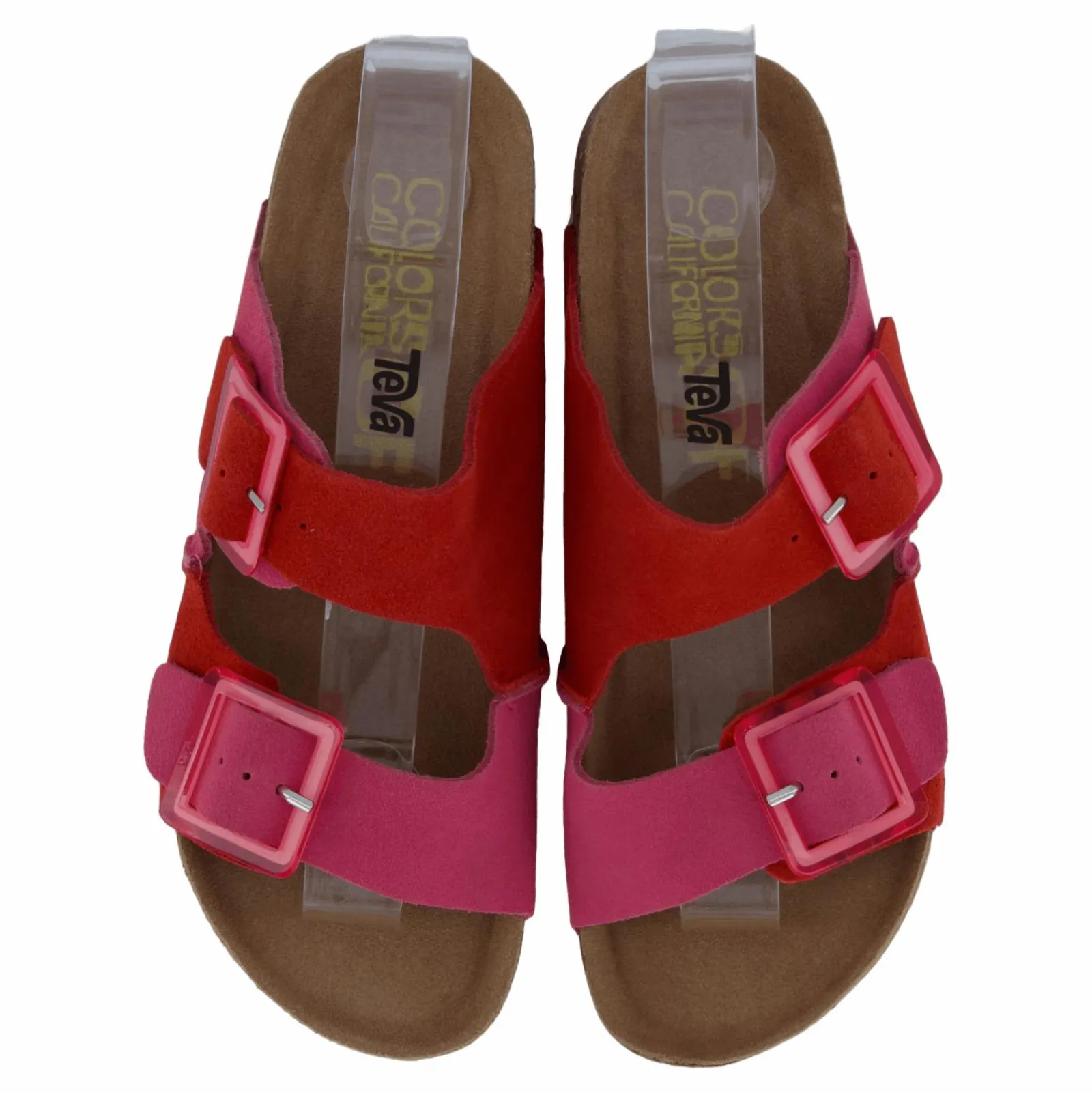 Colors of California Hc.bio403 Bub