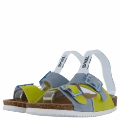 Colors of California Hc.bio403 Den