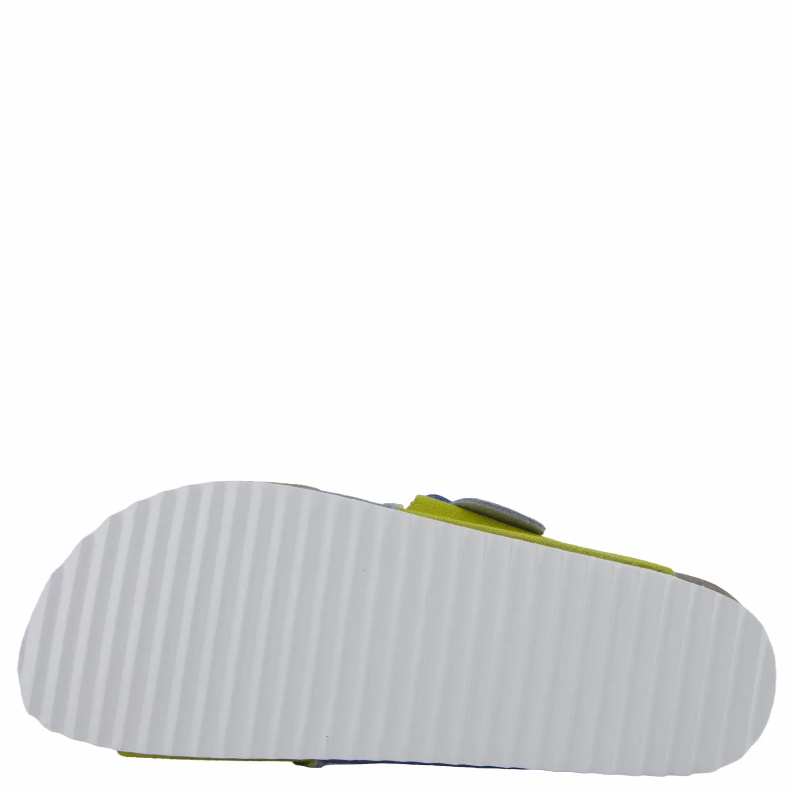 Colors of California Hc.bio403 Den