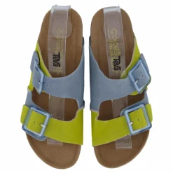 Colors of California Hc.bio403 Den