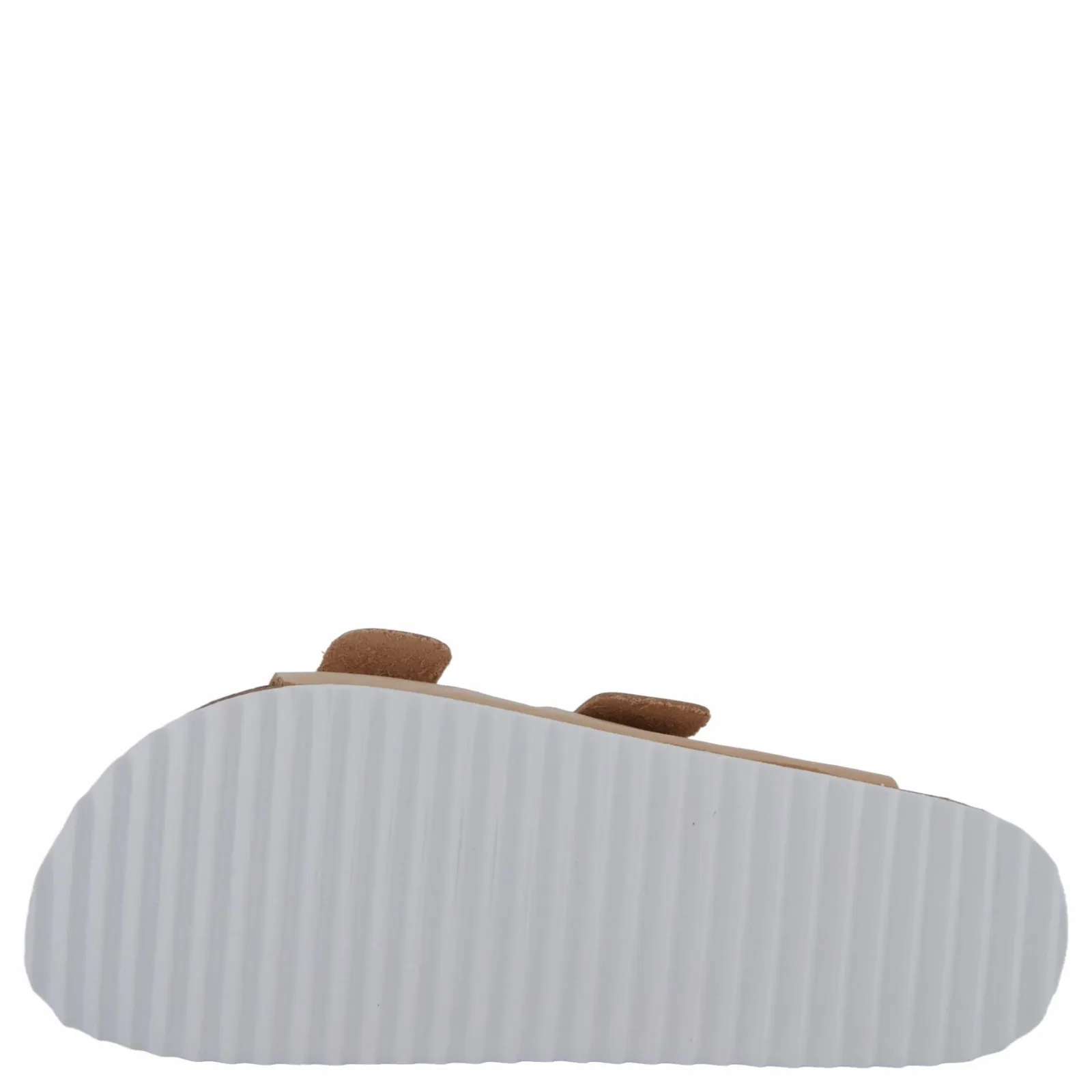 Colors of California Hc.bio410 Fpin