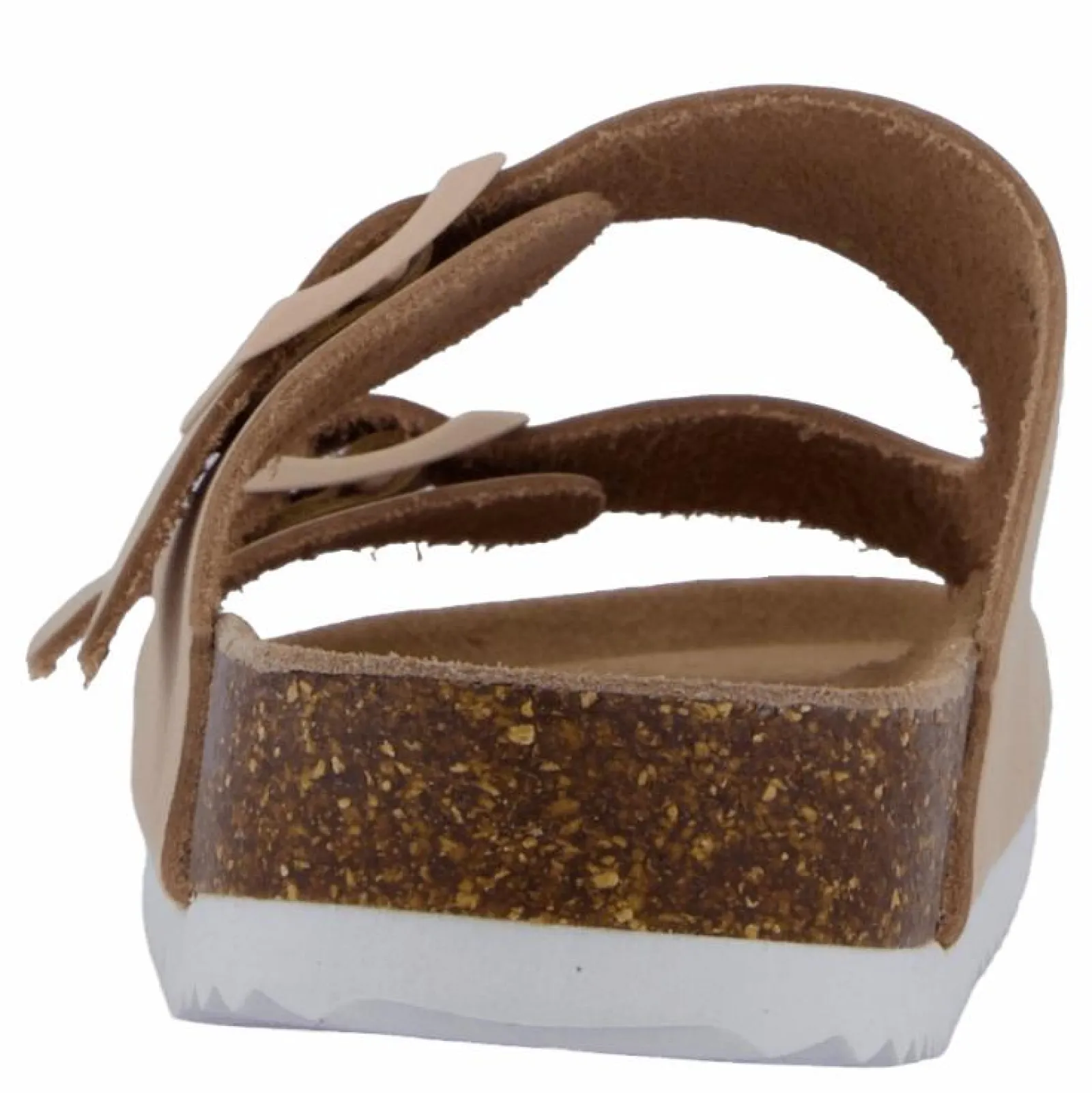 Colors of California Hc.bio410 Fpin