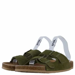 Colors of California Hc.biom56 Mil