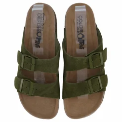 Colors of California Hc.biom56 Mil