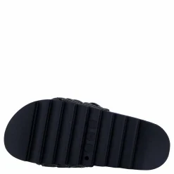 Colors of California Hc.jinfy403 Bla