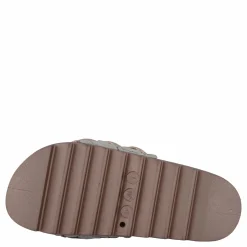 Colors of California Hc.jinfy403 Pkgol