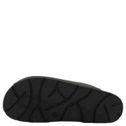 Rohde H.soave Cactus