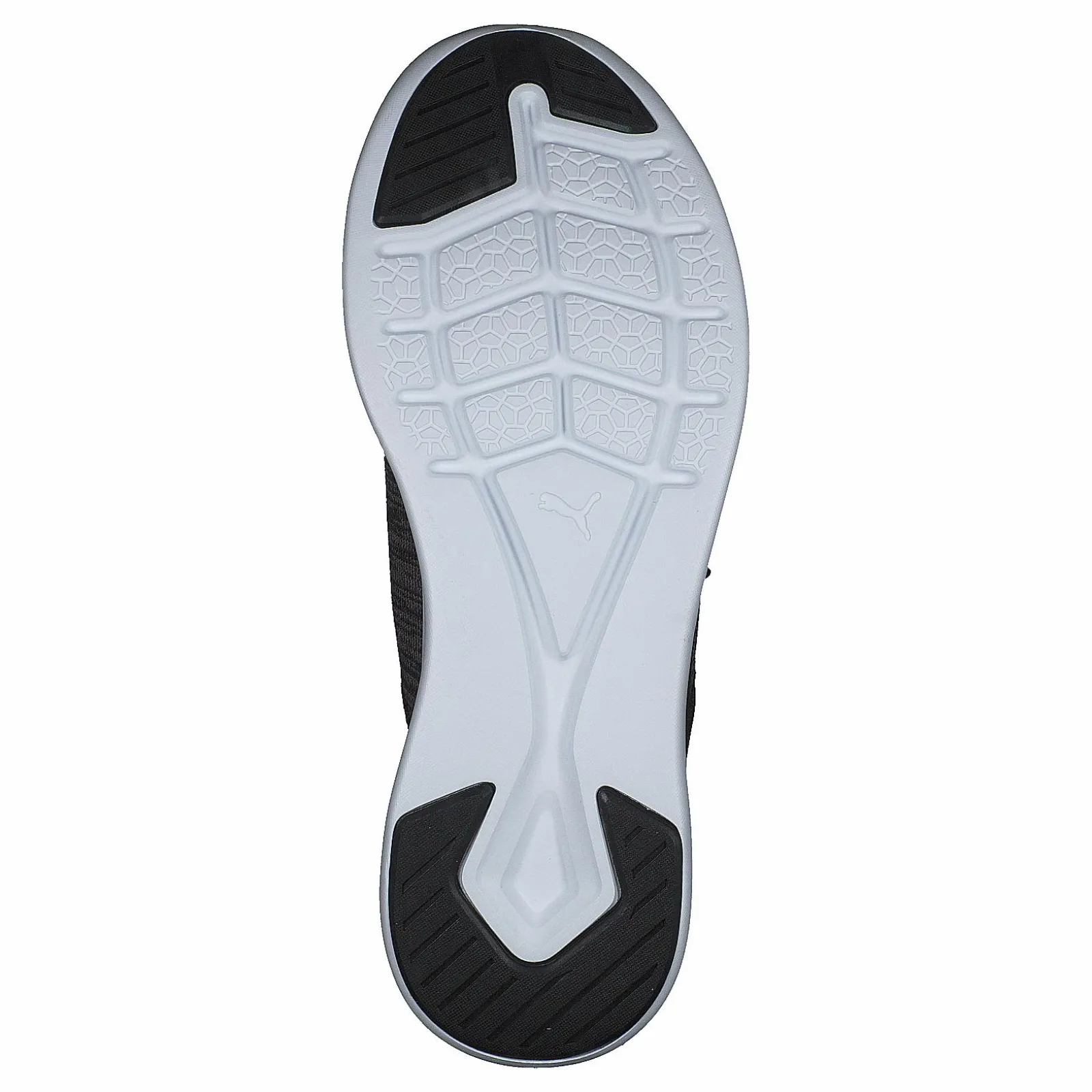 Puma Ignite Flash Evoknit Sr Wn's Black-charcoal Gray-aqua