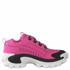 CAT Intruder Azelea Pink