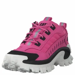 CAT Intruder Azelea Pink