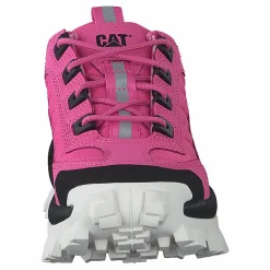 CAT Intruder Azelea Pink