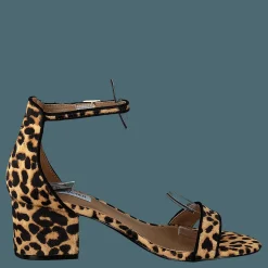 Steve Madden Irenee-l Leopard