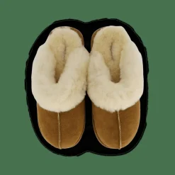 Shepherd Jessica Chestnut