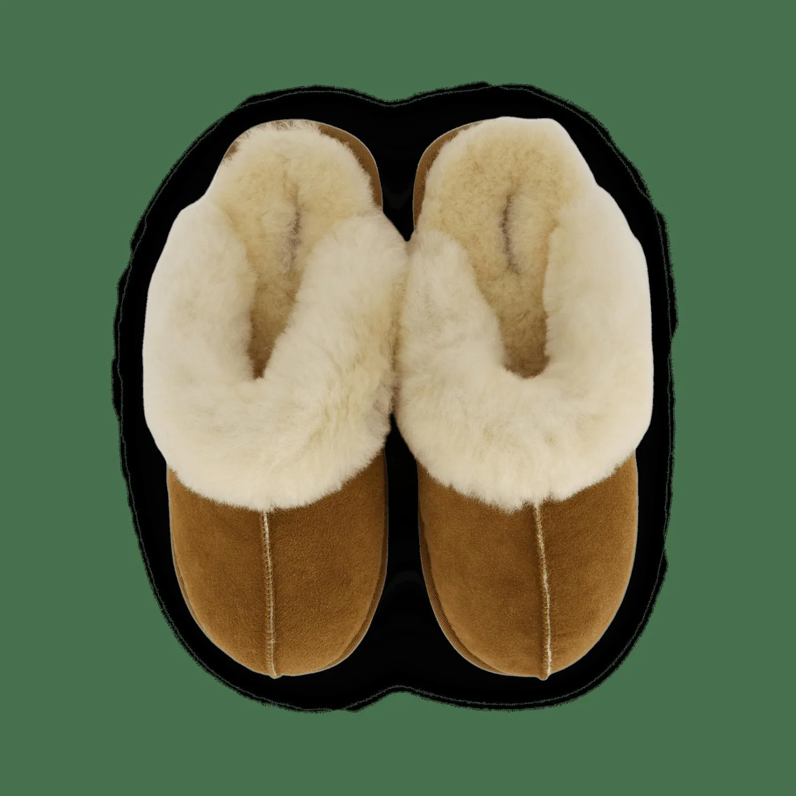 Shepherd Jessica Chestnut