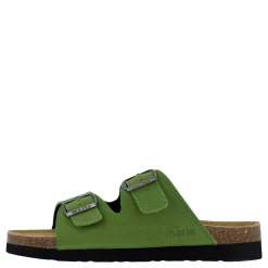 Sköna Marie Joline Cedar Green