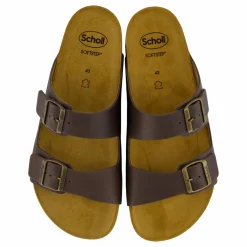 Scholl Iconic Julien Coffee